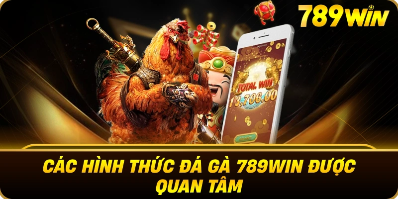 cac_hinh_thuc_da_ga_789win