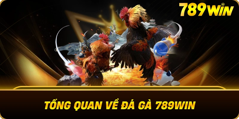 da_ga_789win_tong_quan
