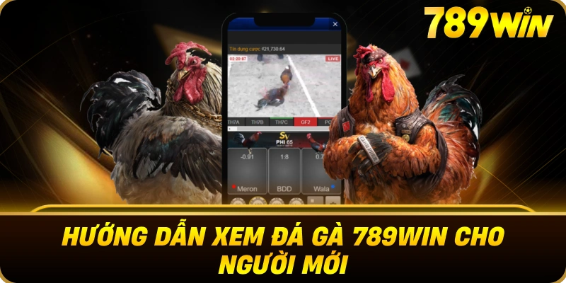 huong_dan_xem_da_ga_789win_cho_nguoi_moi